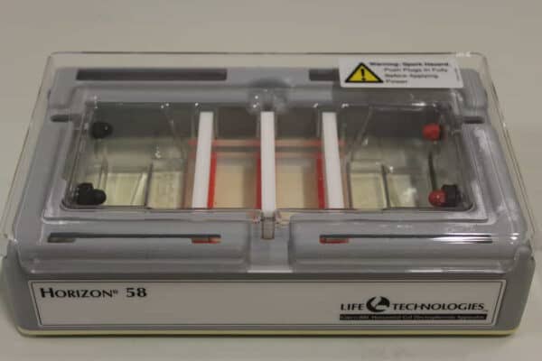 Gibco-BRL Horizon 58 Horizontale Gel Electroforese System