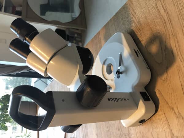 Euromex EduBlue Binoculair Stereomicroscoop