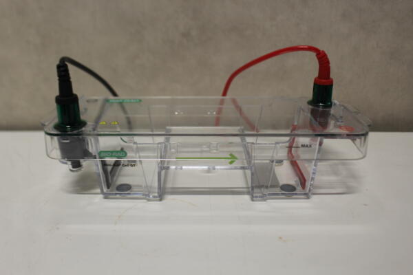 Bio-Rad Mini-Sub Cell GT Elektroforese Cel