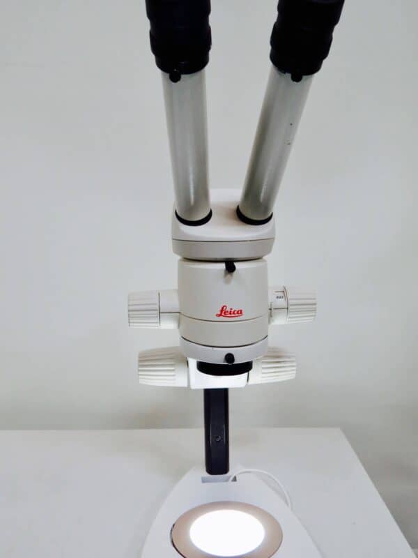Leica MZ6 Stereomicroscoop