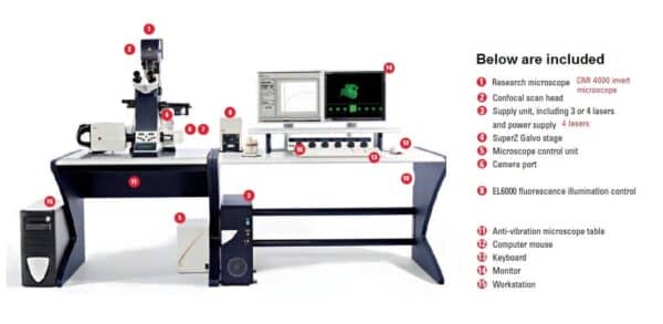 Leica SPE Confocaal Systeem met DMI 4000 B