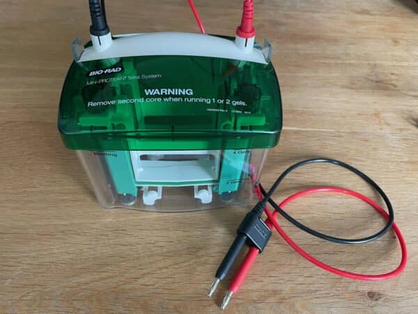 Bio-Rad Mini-PROTEAN Tetra Verticale Elektroforese Cel