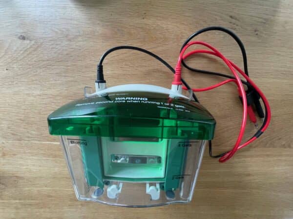 Bio-Rad Mini-PROTEAN Tetra Verticale Elektroforese Cel