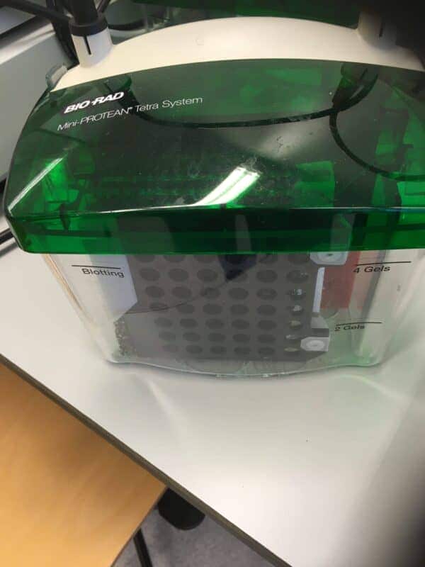 Bio-Rad Mini-PROTEAN Tetra Verticale Elektroforese Cel