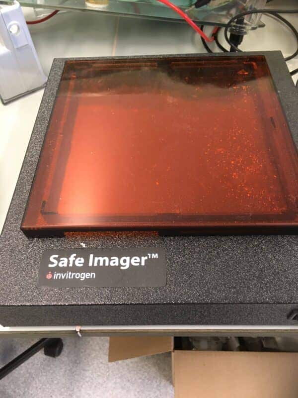 Invitrogen S37102 Safe Imager