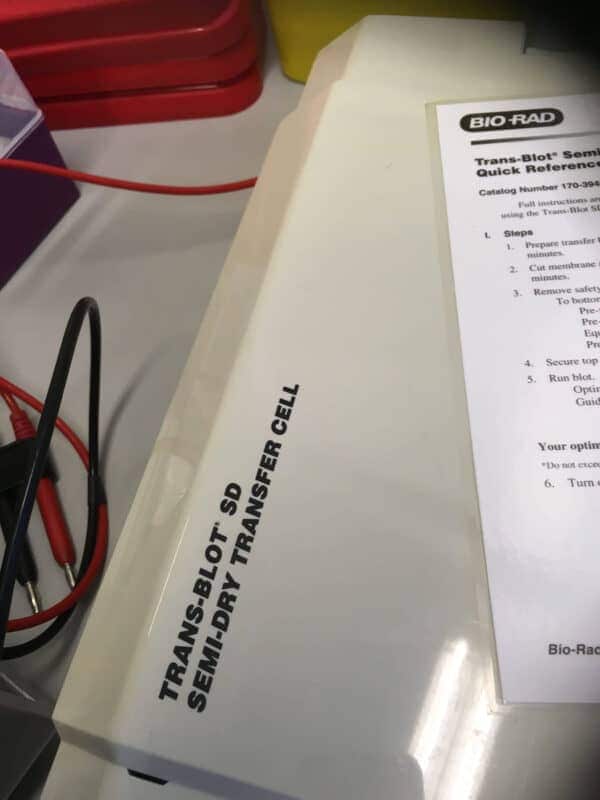 Bio-Rad Trans-Blot SD Semi-Droge Elektroforetische Overdrachtcel