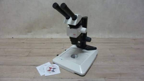 Leica M80 TL 3000 Ergo Stereo Microscoop
