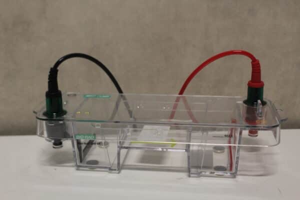 Bio-Rad Mini-Sub Cell GT Elektroforese Cel