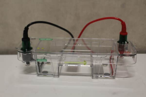 Bio-Rad Mini-Sub Cell GT Elektroforese Cel