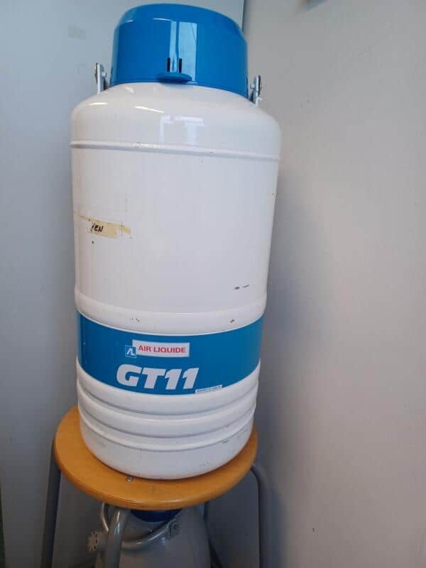 Air Liquide GT11 Cryopreservation container (Dewar)