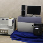 Becton Dickinson FACSCanto II Flow Cytometer