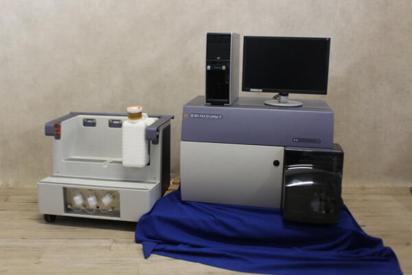 Becton Dickinson FACSCanto II Flow Cytometer