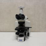 Nikon Eclipse E600W Doorvallend Licht Microscoop