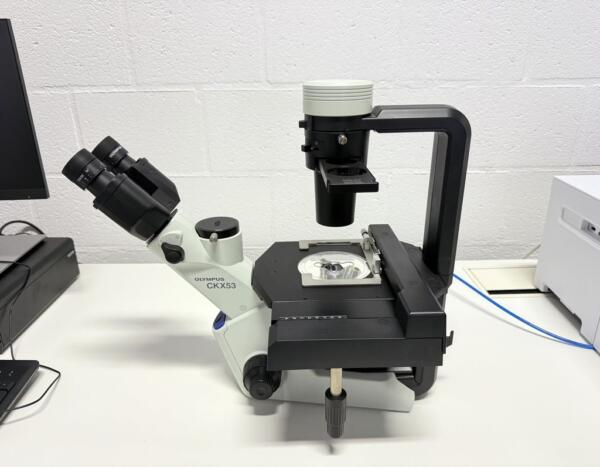 Olympus Omkeermicroscoop CKX53SF