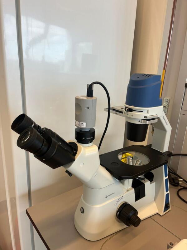 Oxion Inverso OX.2003‑PLPH Fasecontrastmicroscoop Met PixelLink 2K Camera
