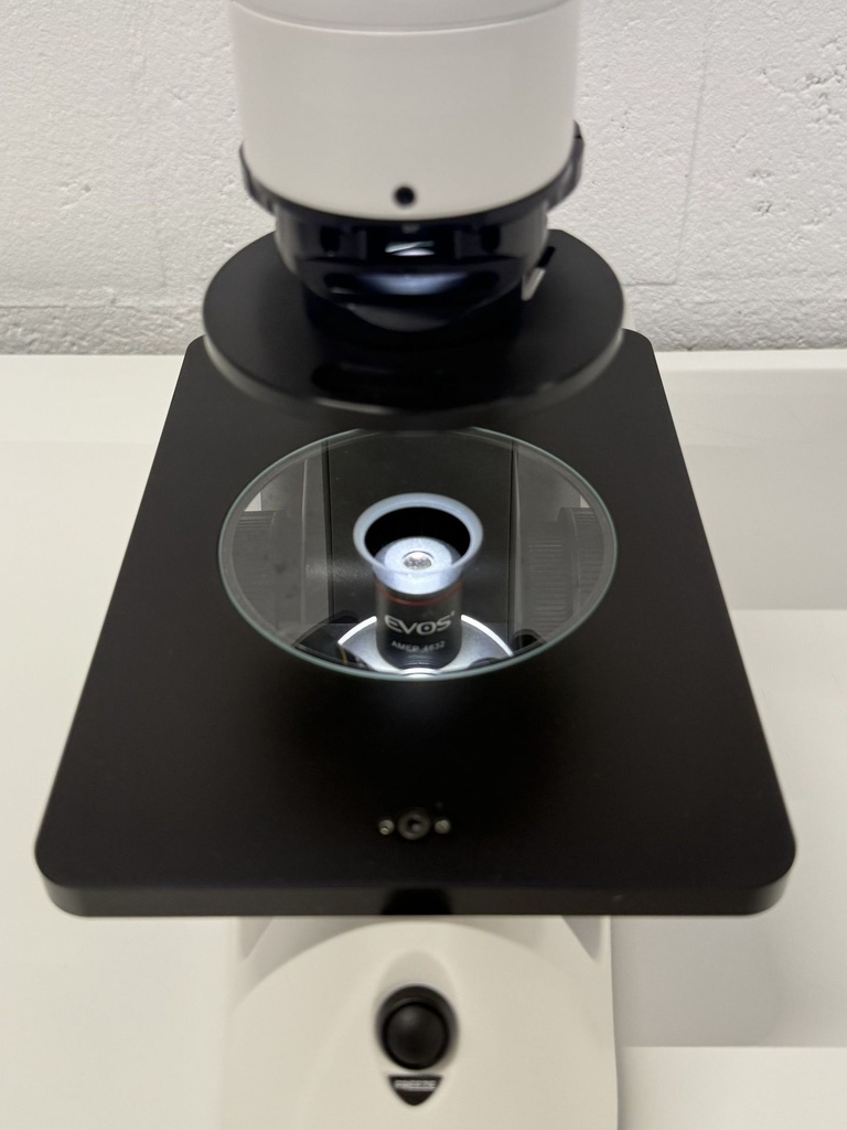 51261-EXT-28168-Thermo-Fisher-EVOS-XL-Core-Imaging-System-1-3